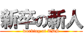 新卒の新人 (working at TDS)
