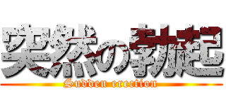 突然の勃起 (Sudden erection)