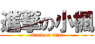 進撃の小楓 (attack on titan)
