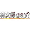林文係ｇａｙ佬 (attack on titan)