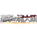 進撃の豬大頭 (attack on titan)