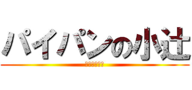 パイパンの小辻 (メジロ専門家)