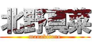 北野真菜 (manakitano)