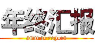 年终汇报 (annual report)