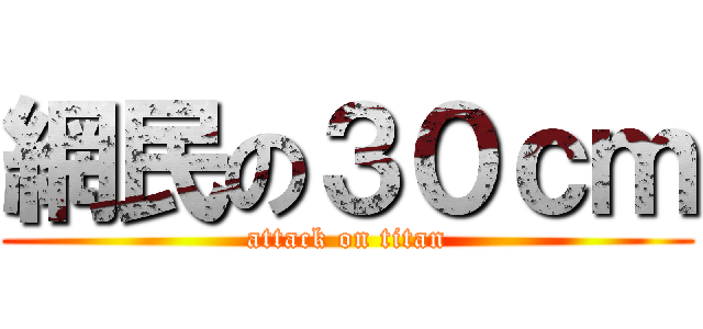 網民の３０ｃｍ (attack on titan)