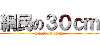 網民の３０ｃｍ (attack on titan)