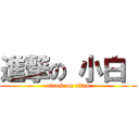 進撃の 小白  (attack on titan)