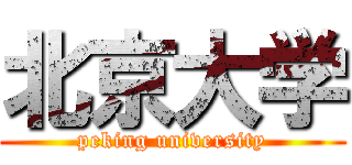 北京大学 (peking university)