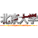 北京大学 (peking university)
