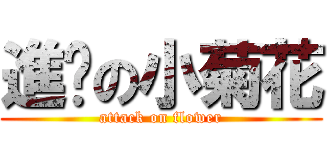進擊の小菊花 (attack on flower)