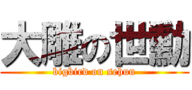 大雕の世勳 (bigbird on sehun)