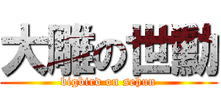 大雕の世勳 (bigbird on sehun)