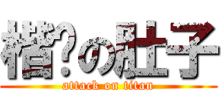 楷婷の肚子 (attack on titan)