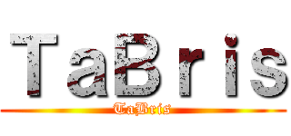 ＴａＢｒｉｓ (TaBris)