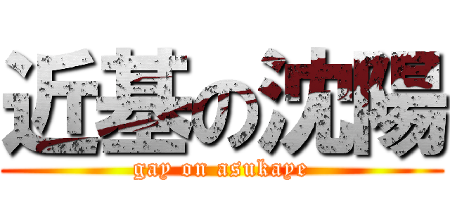 近基の沈陽 (gay on asukaye)