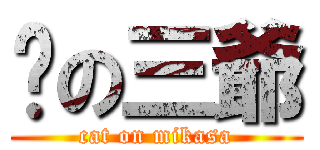 貓の三爺 (cat on mikasa)