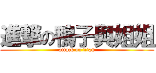 進撃の鴨子與姐姐 (attack on titan)