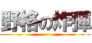野格の炸彈 (~~~~)