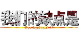 我们的缺点是 (Our weakness is)