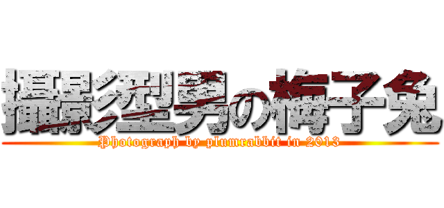 攝影型男の梅子兔 (Photograph by plumrabbit in 2013)