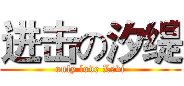 进击の汐缇 (only love Levi)