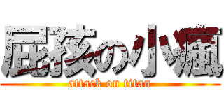 屁孩の小瘋 (attack on titan)
