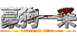 豪狗一条 (attack on titan)