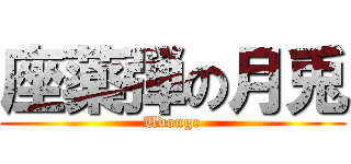 座薬弾の月兎 (Udonge)