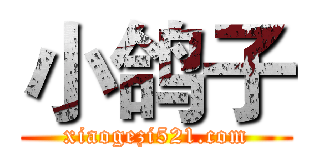 小鸽子 (xiaogezi521.com)