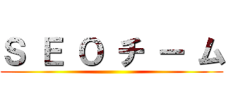 Ｓ Ｅ Ｏ チ ー ム ()