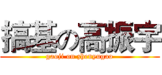 搞基の高振宇 (gaoji on zhenyugao)
