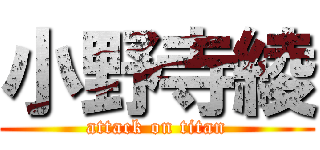 小野寺綾 (attack on titan)