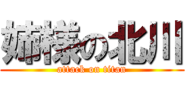 姉様の北川 (attack on titan)