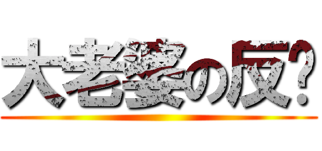 大老婆の反擊 ()