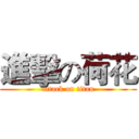 進擊の荷花 (attack on titan)