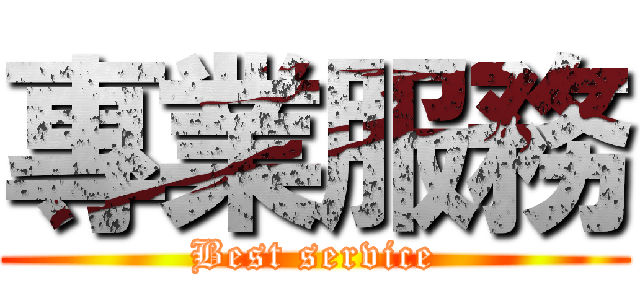 專業服務 (Best service)