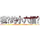 我们的小六信❤ (attack on titan)