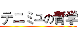 テニミュの青学 ()