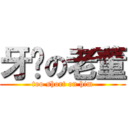 牙签の老董 (too short on him)