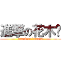 進撃の花木兰 (attack on kamura)