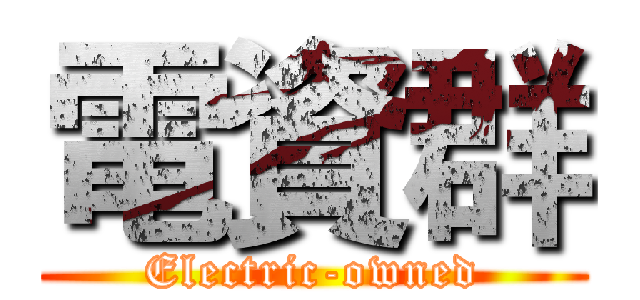電資群 (Electric-owned)