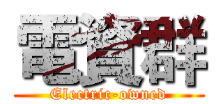 電資群 (Electric-owned)