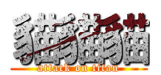 貓貓貓 (attack on titan)