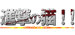 進撃の猫！！ (attack on ami)