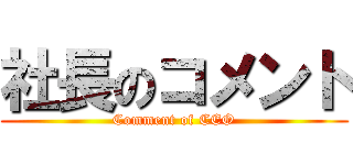 社長のコメント (Comment of CEO)