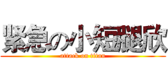 紧急の小短腿欣 (attack on titan)