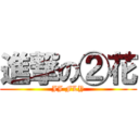 進撃の②花 (JJ FLY)