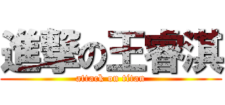 進撃の王睿淇 (attack on titan)