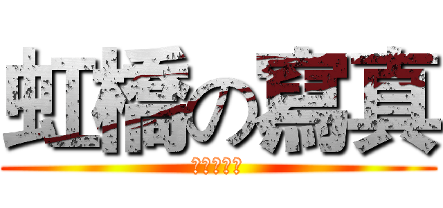 虹橋の寫真 (黃宗昌攝影)