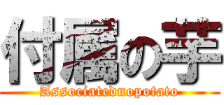 付属の芋 (Associatednopotato)